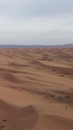 实拍宁夏沙坡头5A景区沙漠宁夏旅游14秒视频