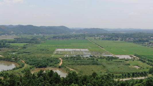 航拍乡村田园农业种植基地视频