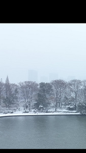 长沙城市冬天湖景雪景下雪视频