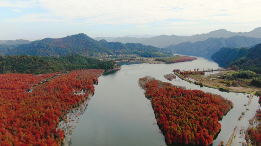 航拍安徽网红旅游景区红衫林景区视频