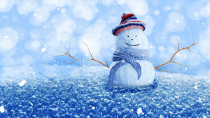 唯美的冬季雪人素材118秒视频