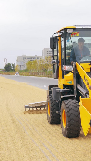 拖拉机钉耙机械农民晒粮食丰收秋季节封闭道路晾晒【该视频工作人员无肖像权，请勿商用】盘锦市34秒视频