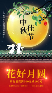 中国风花好月圆中秋佳节宣传视频海报视频