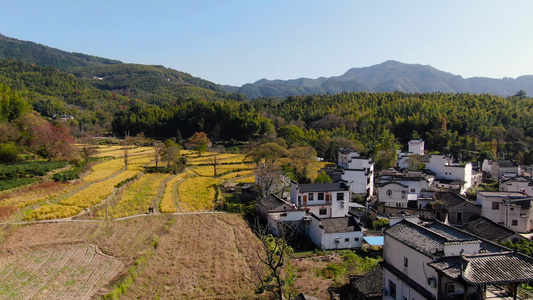 航拍安徽皖南摄影圣地塔川秋色视频