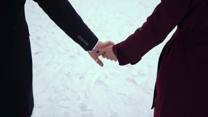 中年夫妇在显露的冬季公园内举手步行7秒视频