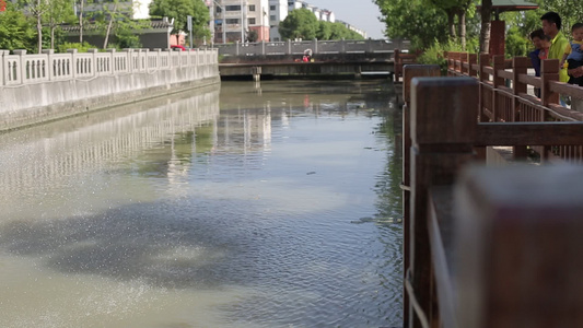 公园里的水道视频