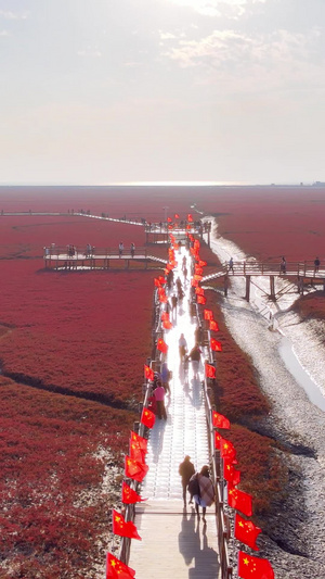 辽宁盘锦市红海滩国家风景廊道湿地5A级风景区国庆游客一望无际76秒视频