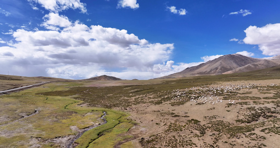 航拍西藏冈底斯山脉放牧风光视频