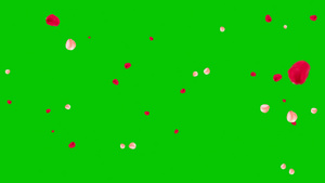 4K花瓣飘落绿屏抠像素材60秒视频