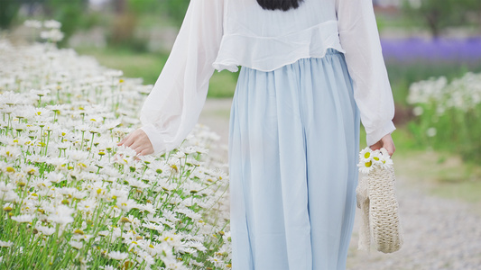 4K升格花海里的少女视频