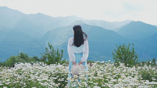 4K升格花海里的少女视频