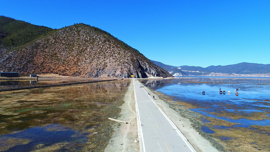 香格里拉纳帕海草原公路航拍视频