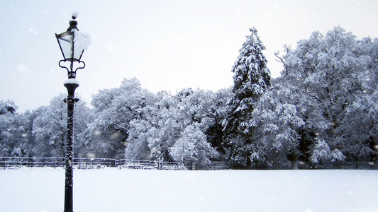 冬季雪景视频素材视频