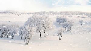 冬季雪景视频素材10秒视频