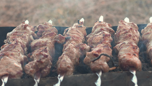 在户外烤炉上烹饪的肉串16秒视频