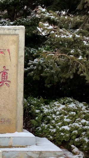 云南香格里拉独克宗古城雪景视频合集古镇旅游104秒视频