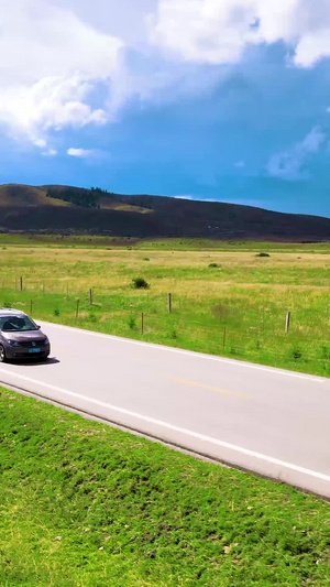 跟拍汽车行驶在213国道若尔盖草原风光大道56秒视频