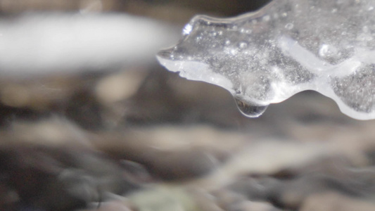 冰雪融化春天万物复苏视频