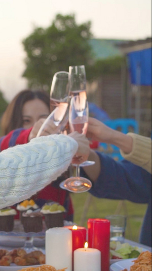 朋友们在户外庆祝喝香槟碰杯12秒视频