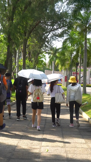 实拍厦门大学校园环境合集【该视频无肖像权，请勿商用】大学生118秒视频