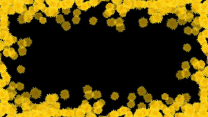 灿烂金菊边框摄图网16秒视频