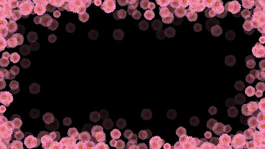粉红菊花边框摄图网视频