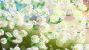 4K唯美清新白色花朵粒子景深背景20秒视频