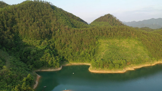 千岛湖上植被视频