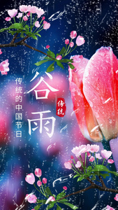 二十四节气谷雨竖版小视频视频