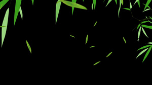 竹叶背景,竹子,竹子竹叶,绿色竹子,粒子竹叶,青色竹,竹子背景50秒视频