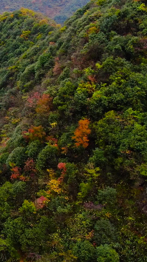 航拍蜿蜒曲折的盘山公路视频皖南川藏线60秒视频