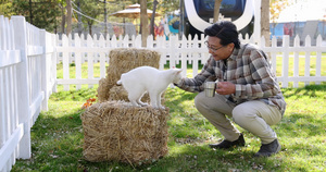 一个老年男人蹲在院子里和猫玩耍20秒视频