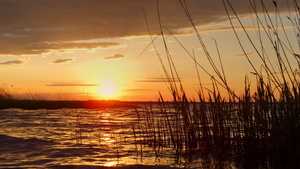 日落海滩水地平线在美丽的自然景观中闪耀着金色阳光8秒视频