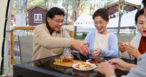 中老年人在露营地喝茶聊天19秒视频