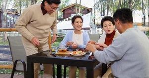 中老年人在露营地喝茶聊天33秒视频