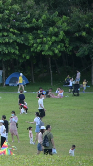 深圳莲花山公园放风筝【该视频无肖像权，请勿商用】放风筝的人25秒视频