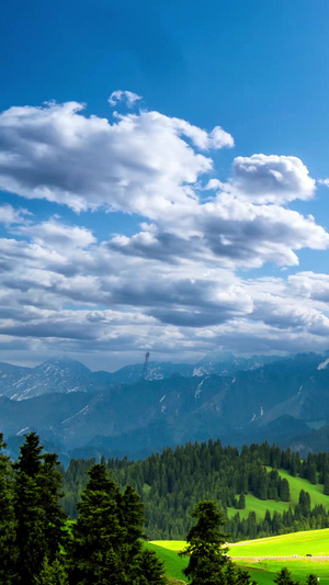 新疆天山下的草原唯美风景蓝天白云15秒视频