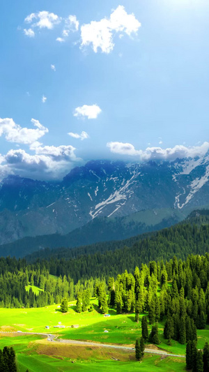 新疆天山下的草原唯美风景5A景点15秒视频