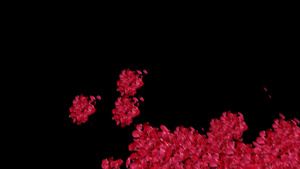 玫瑰花瓣飘舞婚礼动态效果背景视频素材15秒视频