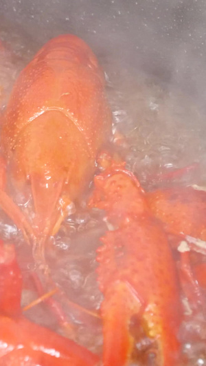小龙虾油炸小龙虾油焖大虾麻小小龙虾烹饪过程14秒视频