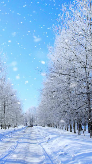 下雪雪花背景视频浪漫雪景10秒视频