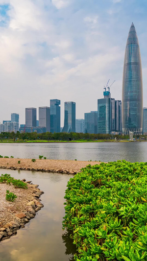 深圳后海地标中国华润大厦延时经济特区20秒视频