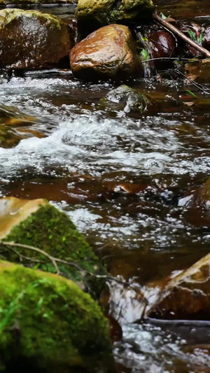 慢镜头升格拍摄湖南5A级旅游景区张家界金鞭溪流水素材风光素材67秒视频
