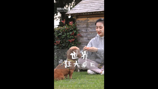 简洁动感世界狂犬病日海报AE模板视频
