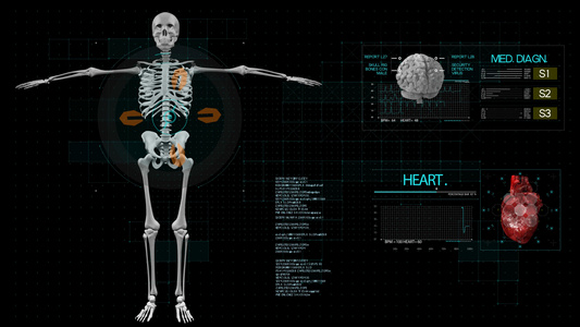 4K智慧医疗骨骼肝脏展示AE模板视频
