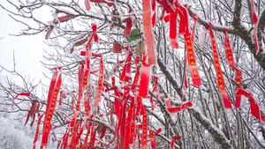 游客雪地里挂的红色平安福15秒视频