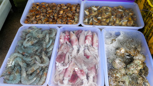街头市场上的泰国新鲜海鲜海鲜17秒视频