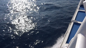 一条快艇和海上的反光19秒视频