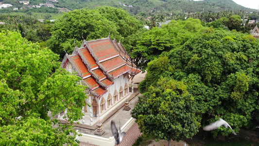 森林之间的经典佛教寺庙从无人机上方可以看到泰国山附近视频