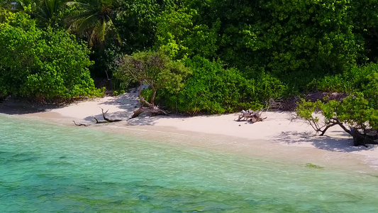 以蓝水和白沙为背景的海滨野生生物飞行无人驾驶飞机视频